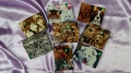 Box mit Stoff  Katze Hund Pferd